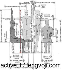 Anthropometric measurement diagram showing seated and standing human figures with labeled arrows for height, arm length, shoulder width, knee height, hip breadth, and other body dimensions used in ergonomics.