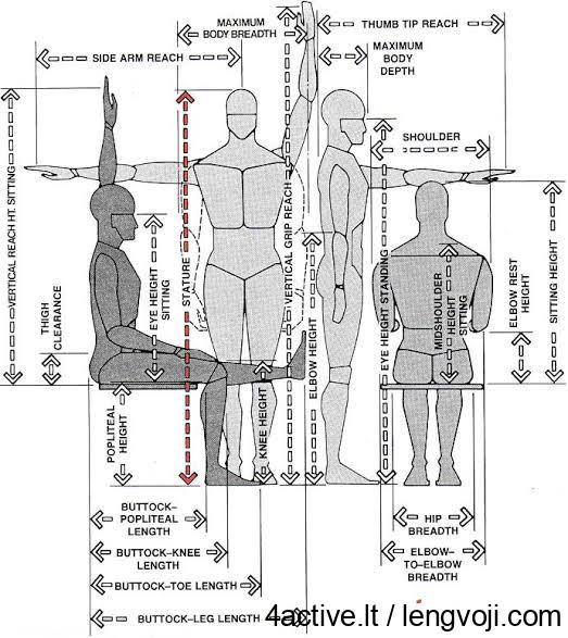 #antropometrija - 4Active Anthropometric measurement diagram showing seated and standing human figures with labeled arrows for height, arm length, shoulder width, knee height, hip breadth, and other body dimensions used in ergonomics.