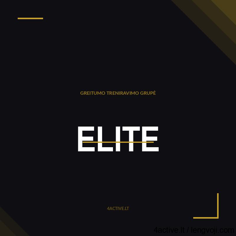 product-elite-v3 - 4Active Brand graphic: bold white ELITE on a dark background with gold accents and small gold text GREITUMO TRENIRAVIMO GRUPĖ and 4ACTIVE.LT.