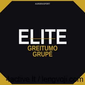 AURORASPORT logo: black octagon with gold corners, 'ELITE' in white with a thin gold line across, and 'GREITUMO GRUPÉ' in gold below.